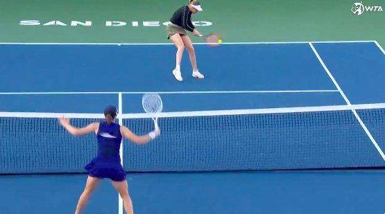 1666026819560099899.png 斯瓦泰克.png